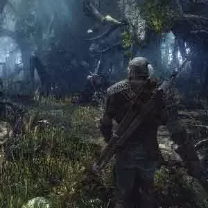 The Witcher 3 landscape