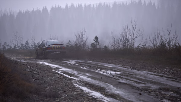 A screenshot from Assetto Corsa Rally showing a rally car driving on a muddy forest trail surrounded by mist and trees.